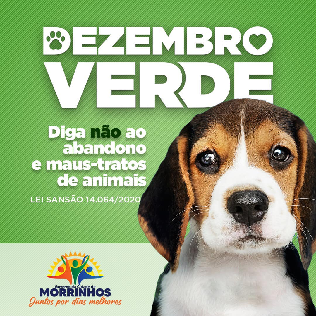 Prefeitura De Morrinhos Apoia Campanha Dezembro Verde Prefeitura