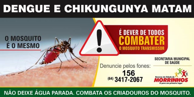 OK dengue-2015