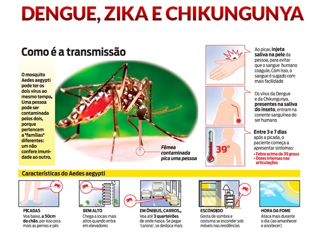 arte dengue